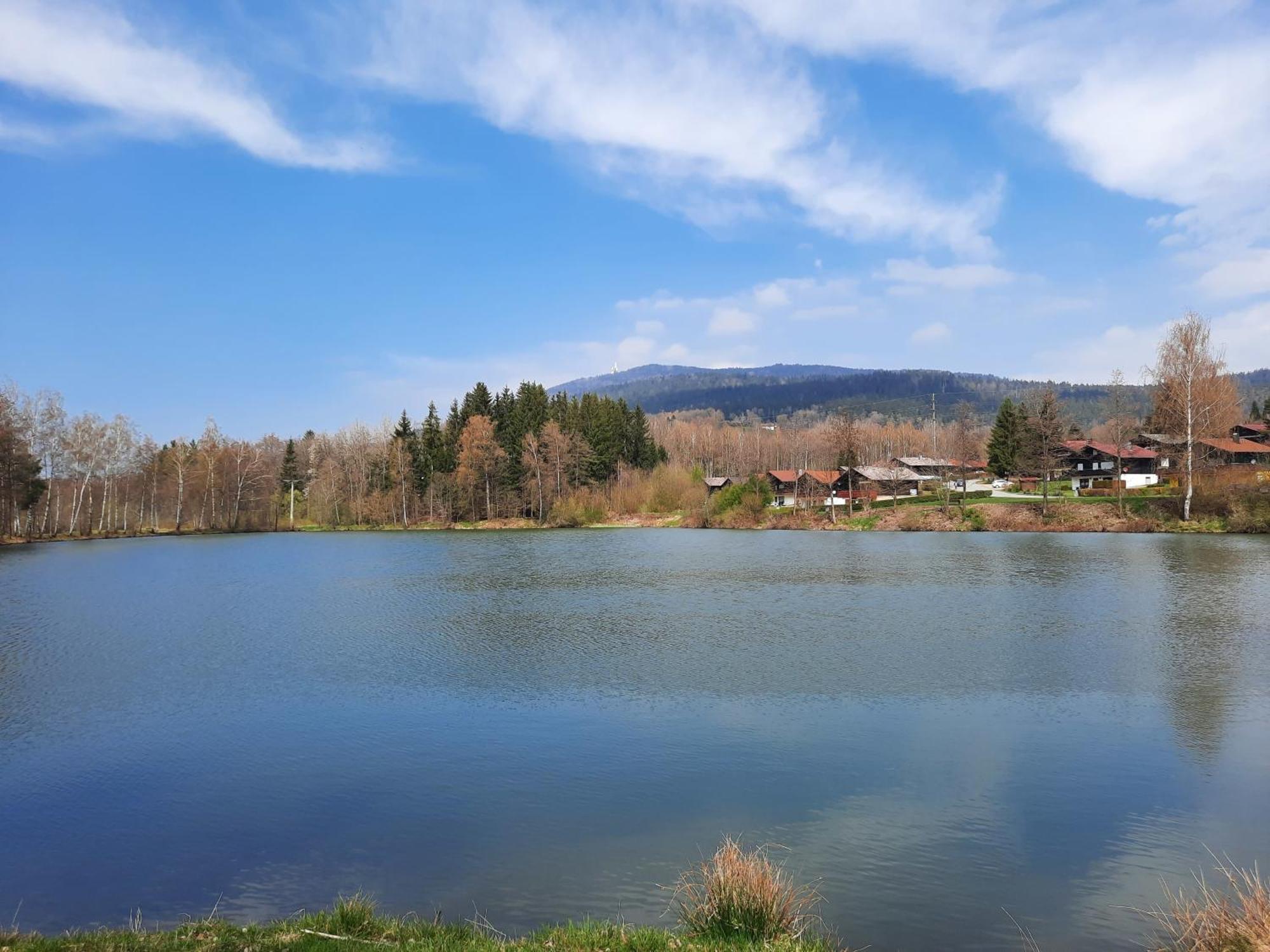 Fewo Bayerischer Wald Im Lamer Winkel Arrach Extérieur photo